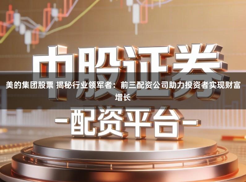 美的集团股票 揭秘行业领军者:前三配资公司助力投资者实现财富增长