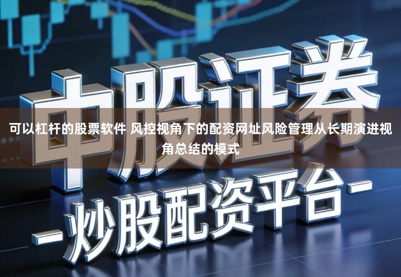 可以杠杆的股票软件 风控视角下的配资网址风险管理从长期演进视角总结的模式
