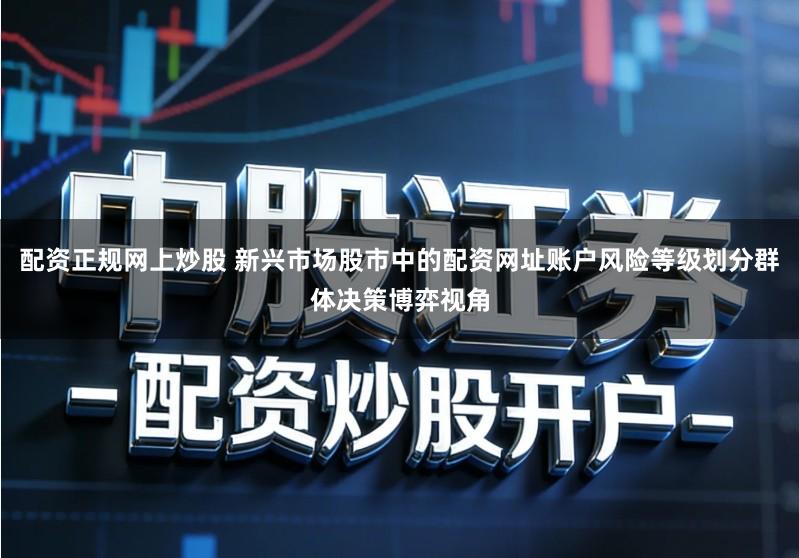 配资正规网上炒股 新兴市场股市中的配资网址账户风险等级划分群体决策博弈视角