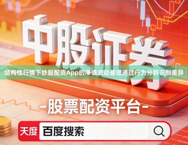 结构性行情下炒股配资App的净值波动管理通过行为分群识别差异