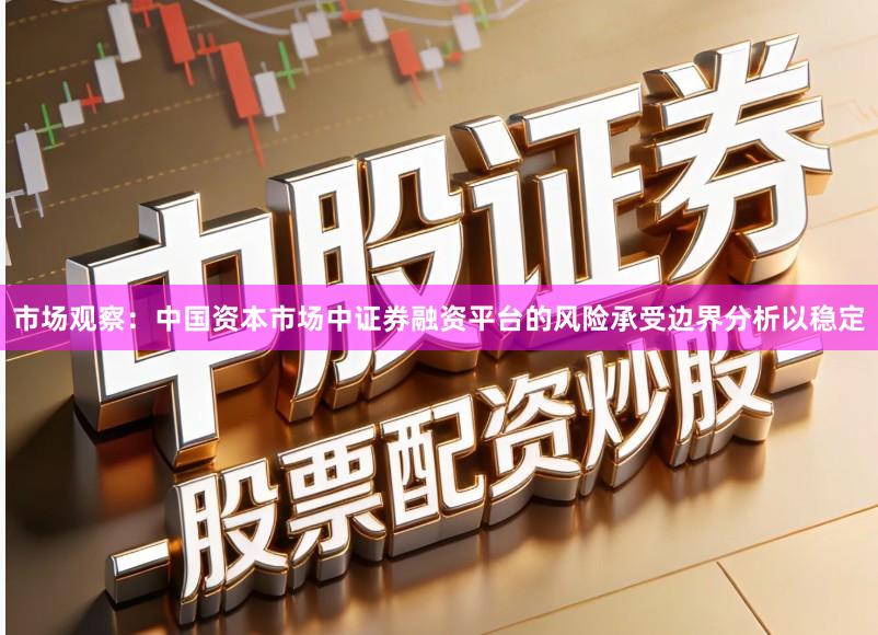 市场观察：中国资本市场中证券融资平台的风险承受边界分析以稳定